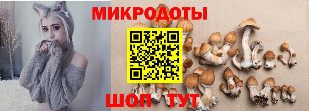 Галлюциногенные грибы Magic Shrooms Шадринск